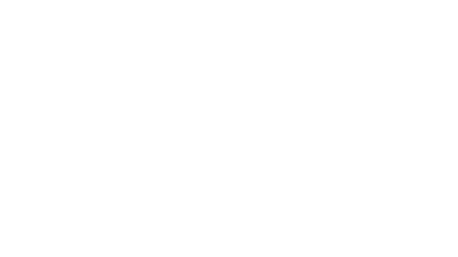 Logo Esencia Especial + Mujer Flamenca